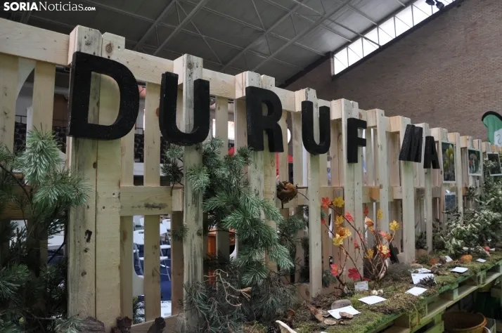 DURUFEMA 2022