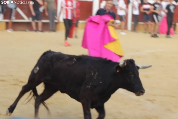 Vaquillas San Saturio 2022