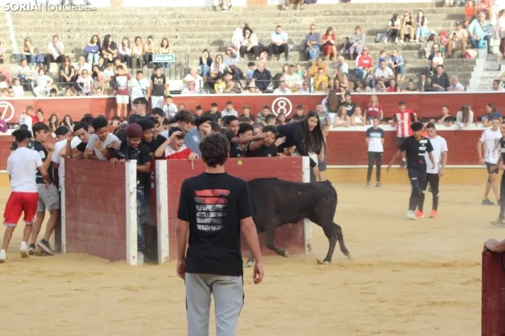 Vaquillas San Saturio 2022