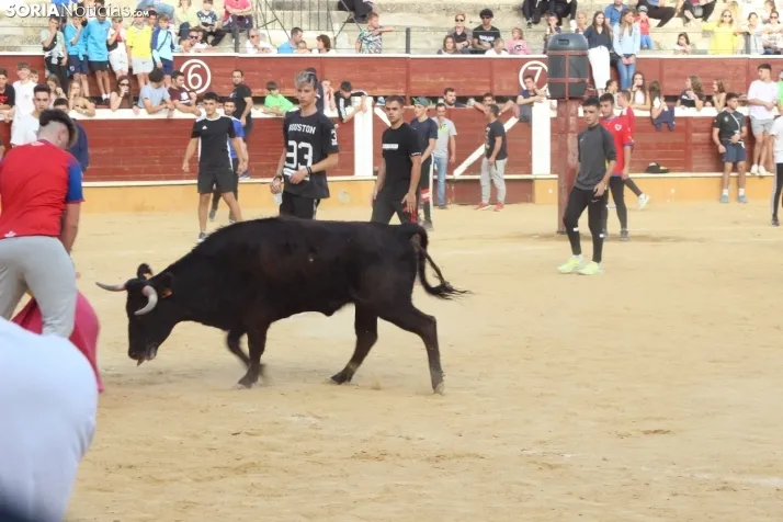 Vaquillas San Saturio 2022