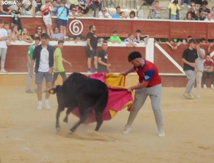 Vaquillas San Saturio 2022