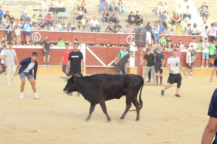 Vaquillas San Saturio 2022
