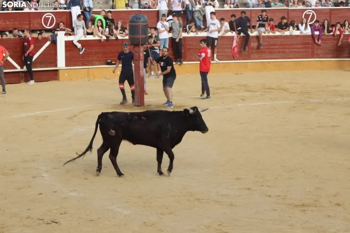 Vaquillas San Saturio 2022