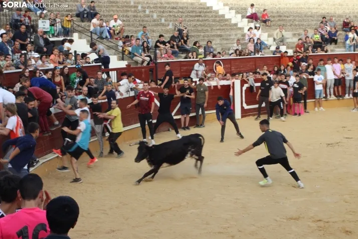 Vaquillas San Saturio 2022
