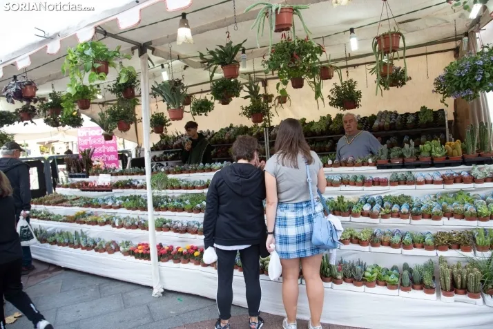 Mercado medieval en Soria 2022