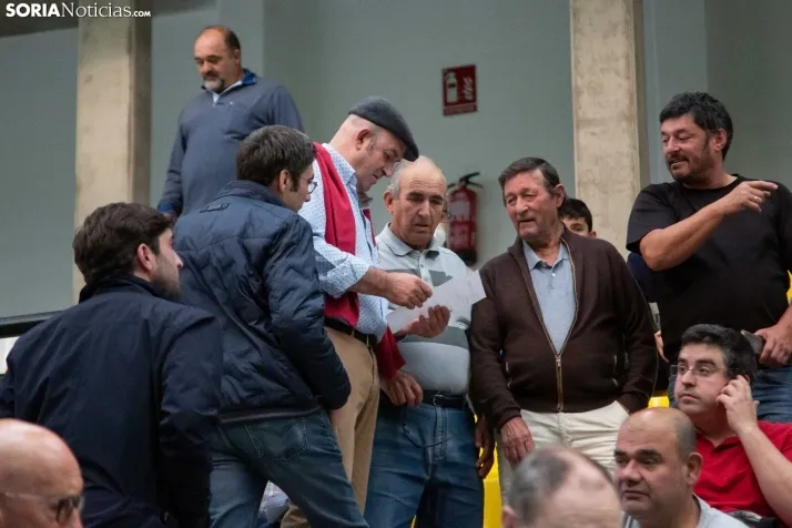 Exhibición Pelota 2022