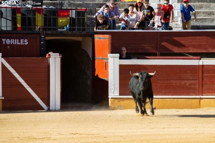 Concurso de Recortes San Saturio