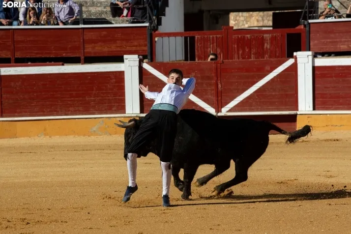 Concurso de Recortes San Saturio