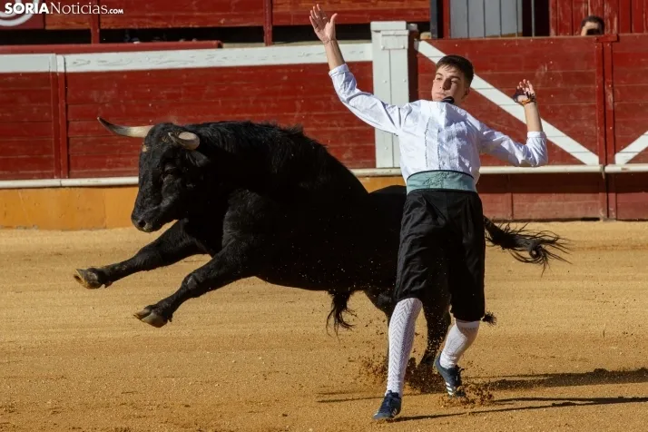 Concurso de Recortes San Saturio
