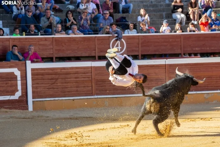 Concurso de Recortes San Saturio
