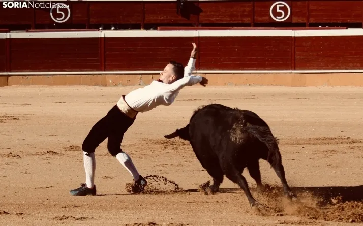 Concurso de Recortes San Saturio