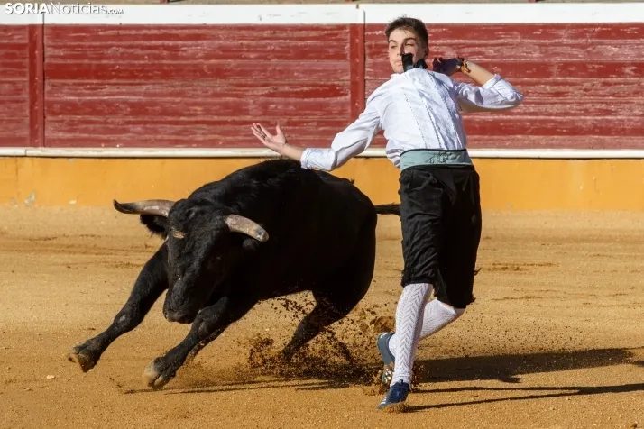 Concurso de Recortes San Saturio