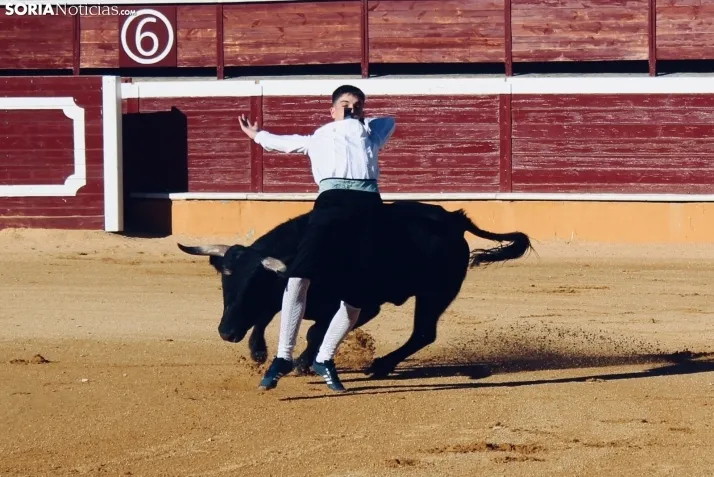 Concurso de Recortes San Saturio