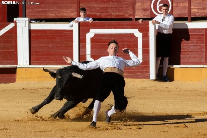 Concurso de Recortes San Saturio