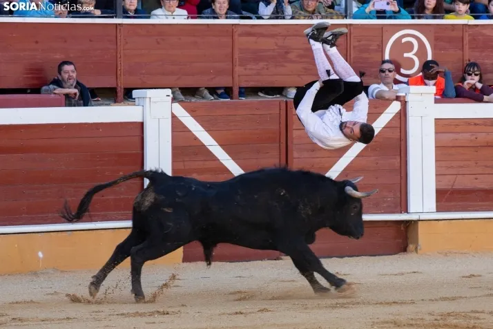 Concurso de Recortes San Saturio