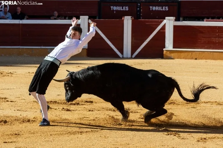 Concurso de Recortes San Saturio
