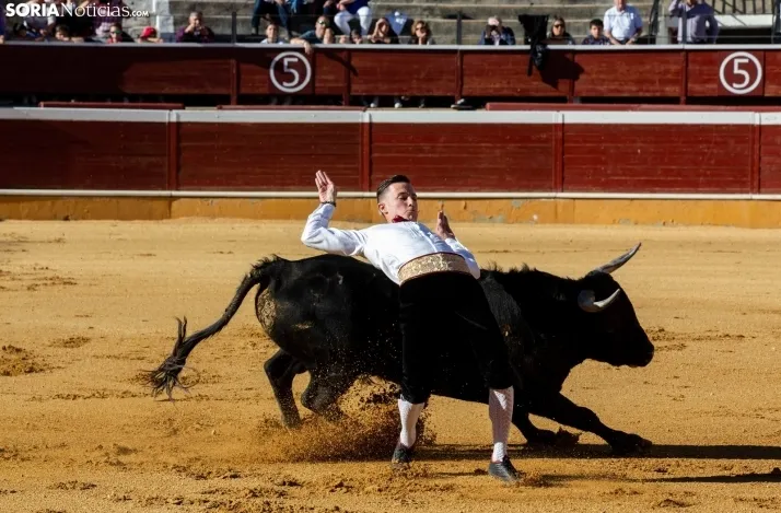 Concurso de Recortes San Saturio