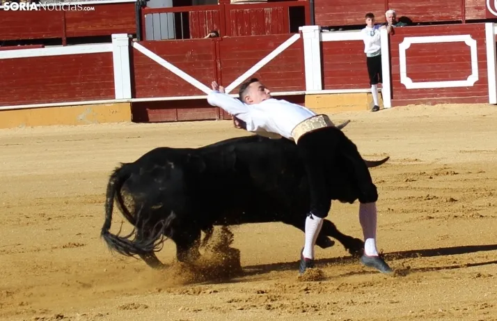 Concurso de Recortes San Saturio