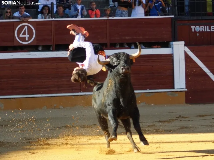 Concurso de Recortes San Saturio