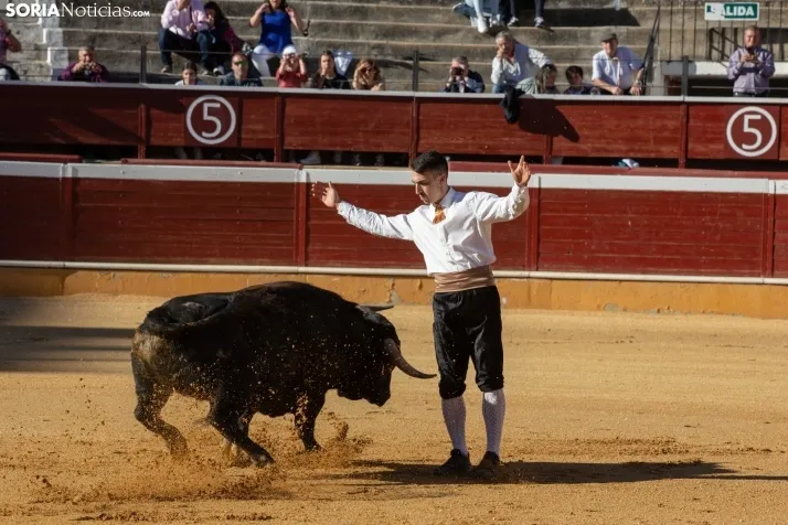 Concurso de Recortes San Saturio