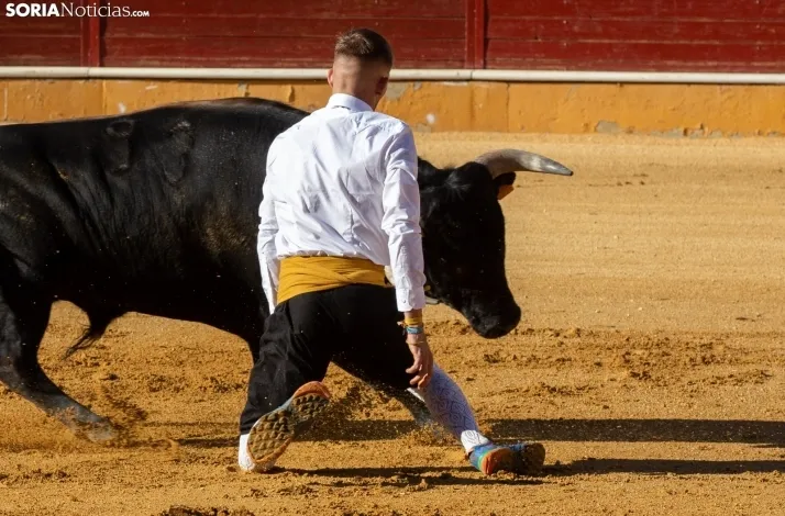 Concurso de Recortes San Saturio