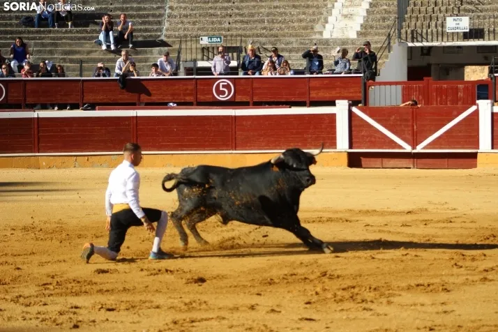 Concurso de Recortes San Saturio