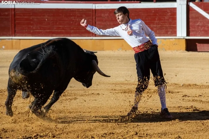 Concurso de Recortes San Saturio