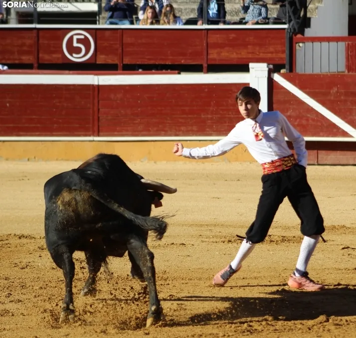 Concurso de Recortes San Saturio