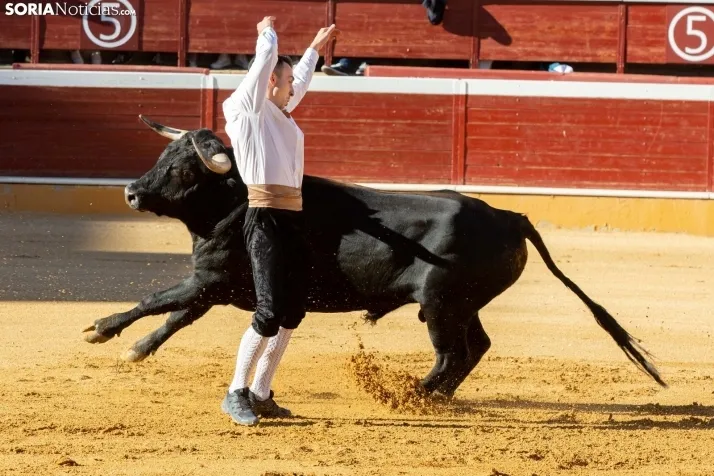 Concurso de Recortes San Saturio