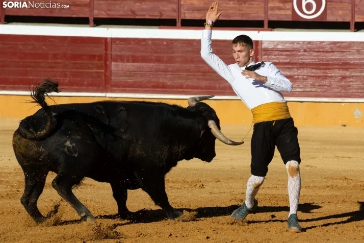 Concurso de Recortes San Saturio