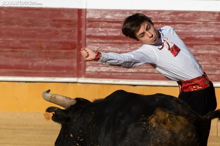 Concurso de Recortes San Saturio