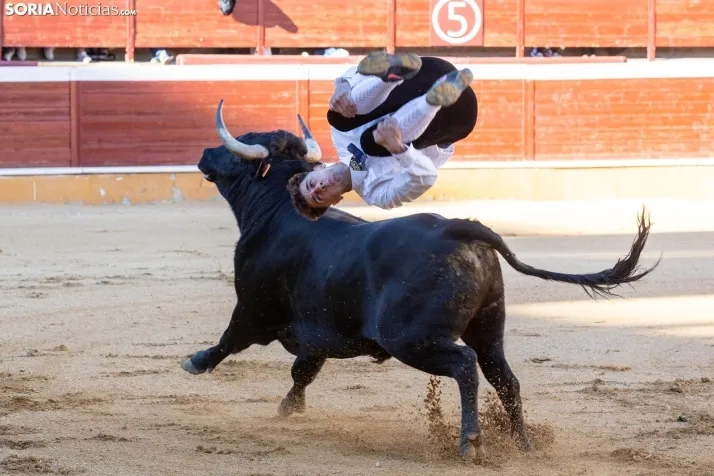 Concurso de Recortes San Saturio