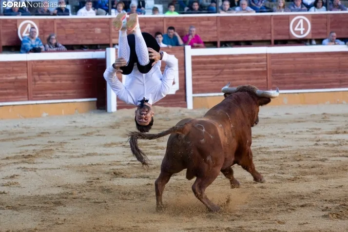 Concurso de Recortes San Saturio