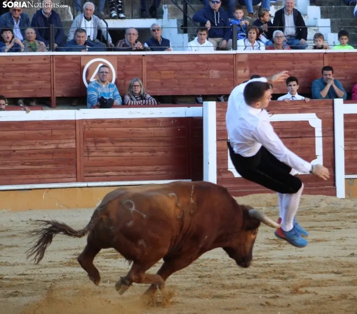 Concurso de Recortes San Saturio