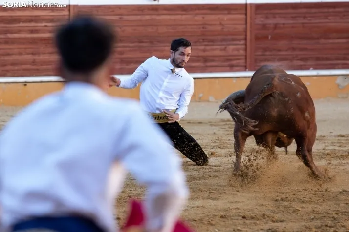 Concurso de Recortes San Saturio
