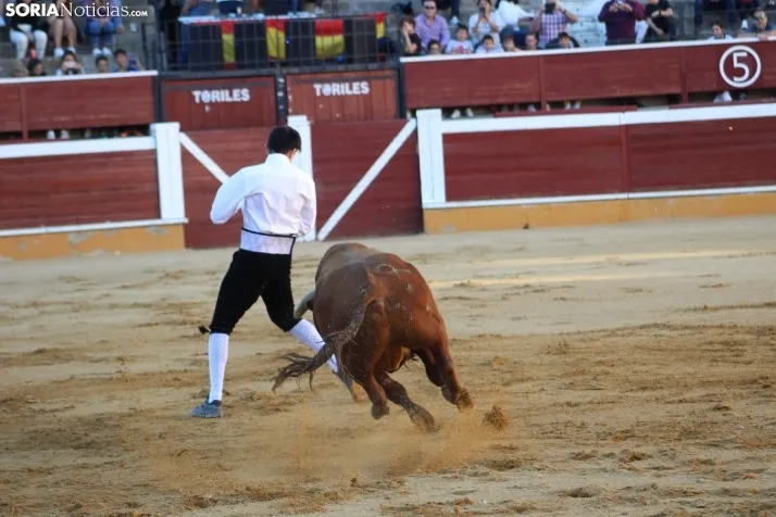 Concurso de Recortes San Saturio