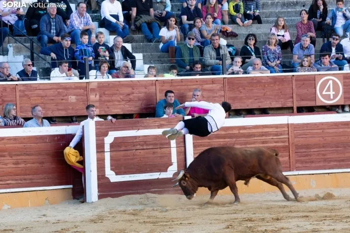 Concurso de Recortes San Saturio
