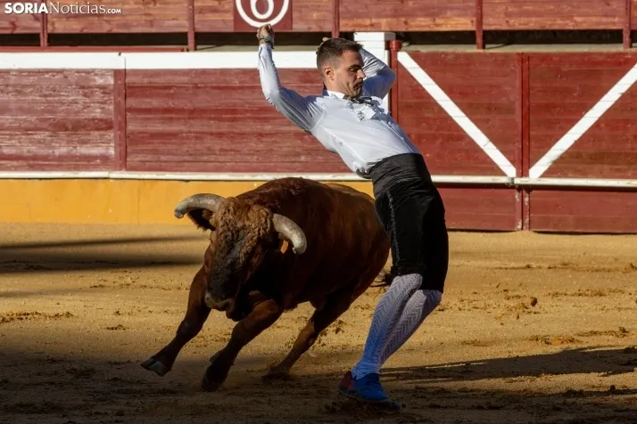 Concurso de Recortes San Saturio