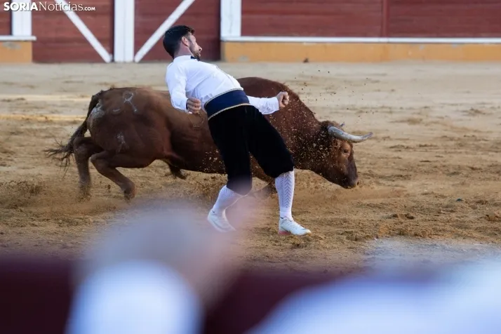 Concurso de Recortes San Saturio