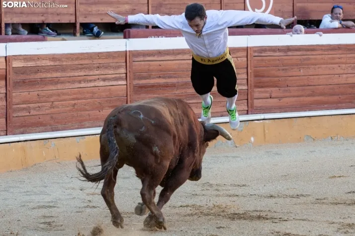 Concurso de Recortes San Saturio