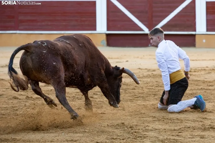 Concurso de Recortes San Saturio