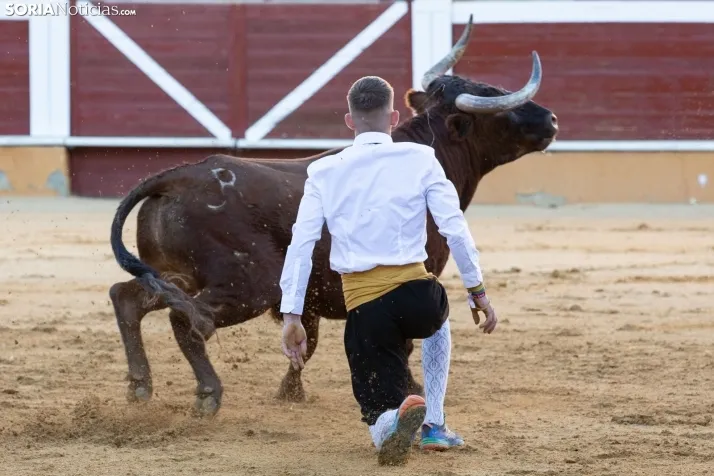 Concurso de Recortes San Saturio
