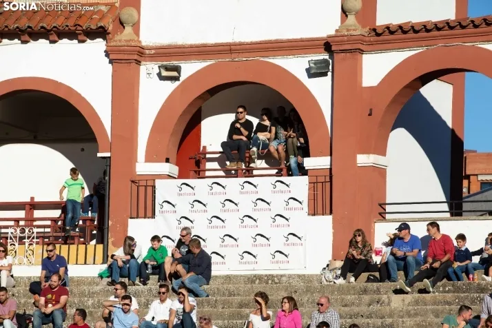 Concurso de Recortes San Saturio