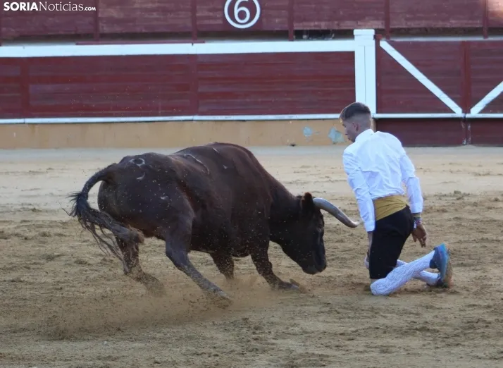 Concurso de Recortes San Saturio