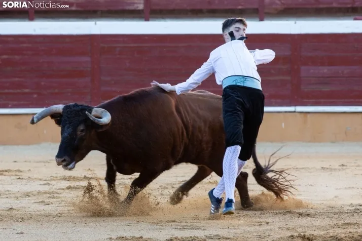 Concurso de Recortes San Saturio