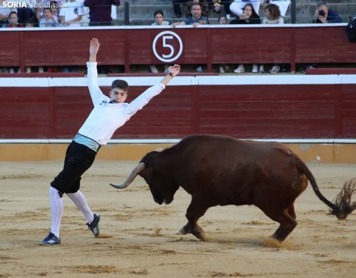Concurso de Recortes San Saturio
