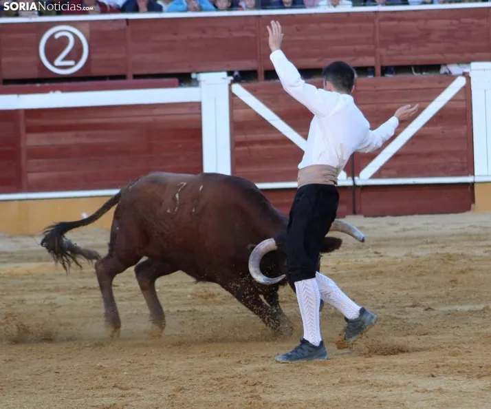Concurso de Recortes San Saturio