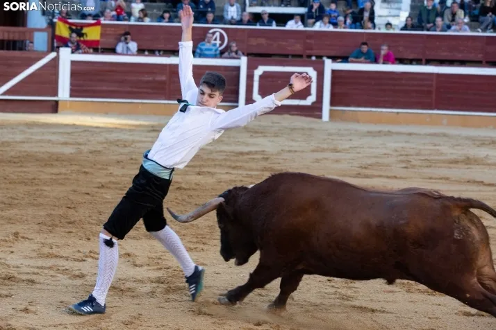 Concurso de Recortes San Saturio