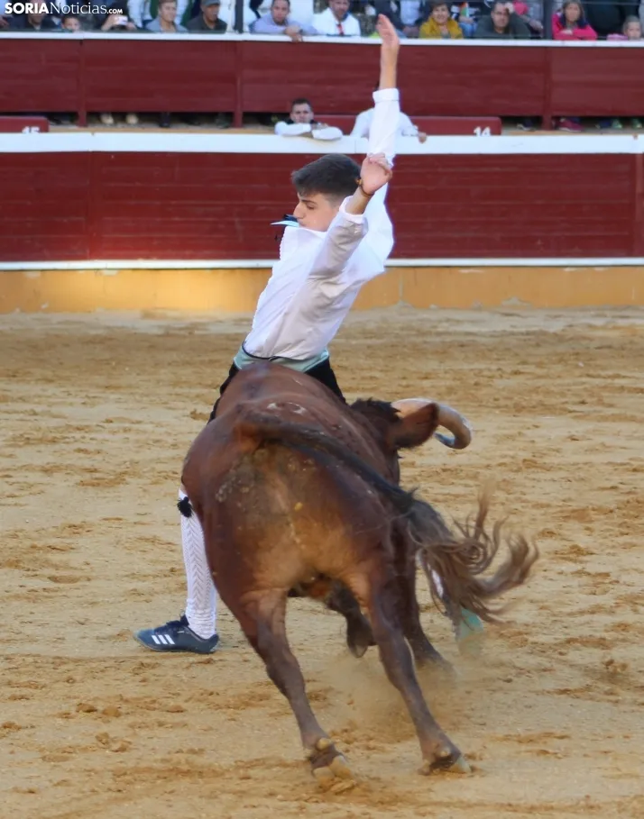 Concurso de Recortes San Saturio