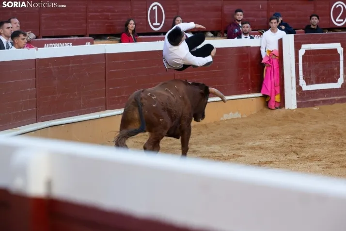 Concurso de Recortes San Saturio